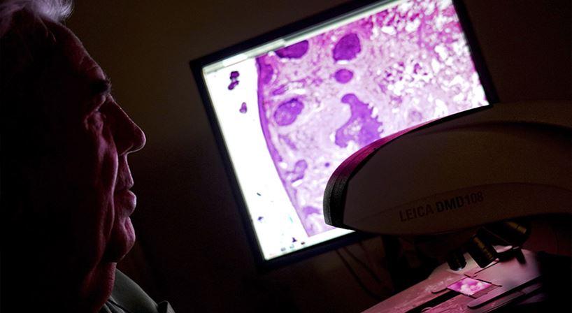 Investigación en dermatología, tricología y estética.