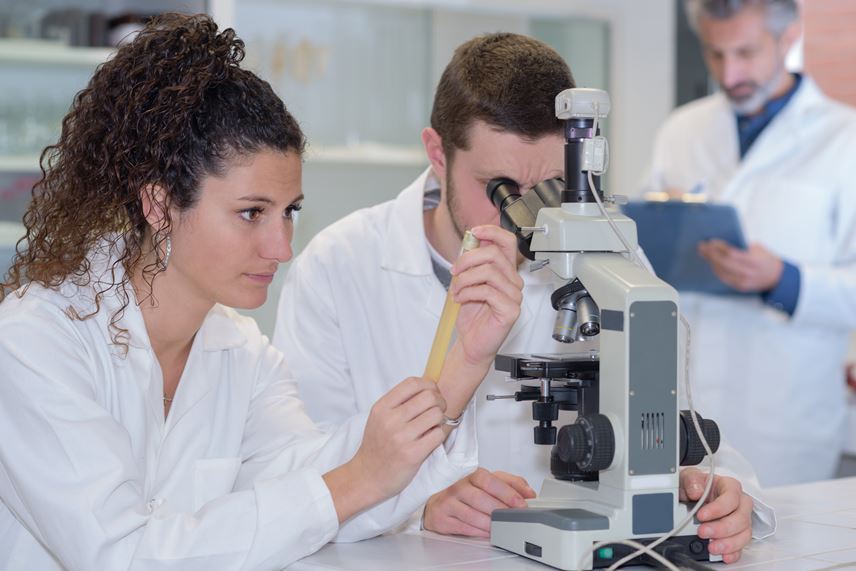 Máster de Formación Permanente en Dermatopatología.